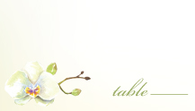 Place Card - watercolor orchids